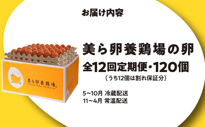 卵の黄身が掴めるほどの新鮮さ 美ら卵養鶏場の卵 120個【12ヶ月定期便】   I  たまご タマゴ  卵 美ら卵 養鶏場 美ら卵 新鮮  養鶏場  定期便   120個   沖縄県 南城市 ふるさと納税 有限会社 美ら卵養鶏場