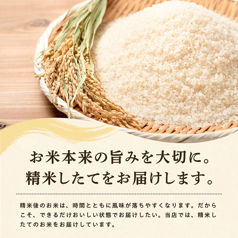 《 12回定期便 》 米 令和8年産 あきたこまち 無洗米 27kg×12