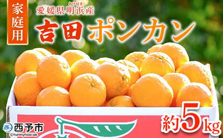 ＜吉田ポンカン 家庭用 約5kg＞ 果物 くだもの フルーツ みかん ミカン 柑橘 吉田ぽんかん よしだぽんかん ヨシダポンカン ぽんかん 訳あり ご自宅用 特産品 株式会社笑丸 愛媛県 西予市【常温】『2026年1月下旬～2月下旬迄に順次出荷予定』AAN0010