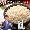 【ふるさと納税】令和6年産 うりゅう米ななつぼし 玄米 5kg(5kg × 1袋) 北海道産 ななつぼし ブランド 米 ごはん おにぎり お弁当 あっさりとした食感 バランスが良い つや ふっくら 和食 粘り 冷めてもおいしい バランスに優れた味わい お取り寄せ 北海道 雨竜町 送料無料