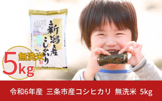 新米 無洗米 新潟県三条市産コシヒカリ 5kg こしひかり 令和6年産 米 [株式会社白熊]【010S100】