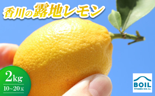 露地レモン　約2kg(10～20玉)【1680208】