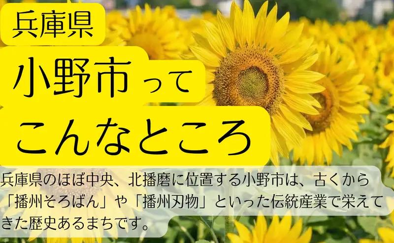 ラベンくもり止め[ミニ]100mL+はっ水剤[ミニ]100mLセット