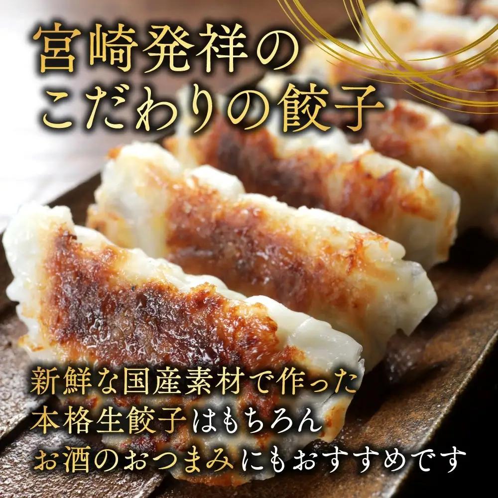 餃子 生ぎょうざ 50個 たれ付き〔AA-O1-001〕餃子