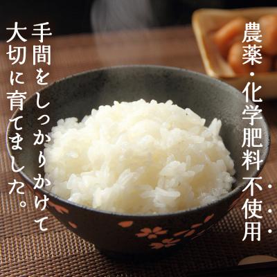 ふるさと納税 西予市 新米<令和7年産 西予市産 特別栽培米 エコえひめ コシヒカリ 白米 約5kg>国産 精米 |  | 01