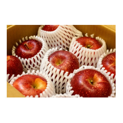 
                  【2026年発送】フルーツ王国　長野県産 りんご　紅玉(こうぎょく)　約3kg(7～15玉程度)【1541927】
                