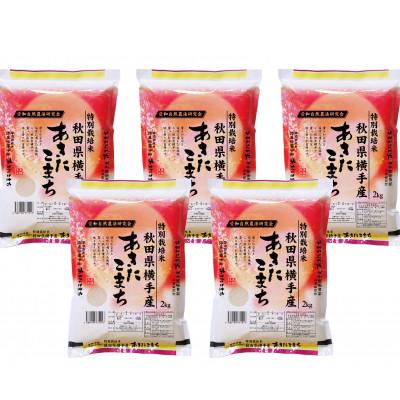 ふるさと納税 横手市 【令和6年産】＜愛和自然農法研究会＞特栽米あきたこまち10kg(2kg×5袋) |  | 01