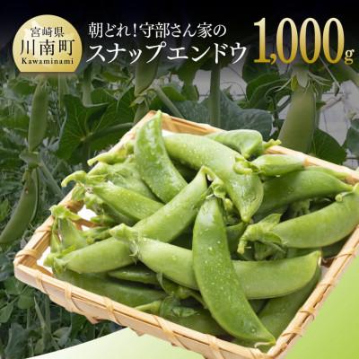 ふるさと納税 川南町 【令和8年発送】朝どれ!守部さん家のスナップエンドウ1.0kg