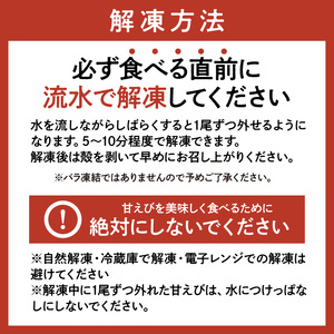 兵庫県産 天然 甘エビ 刺身用 計500g 250g×2パック（1パック15尾入り）海老 えび 10-12