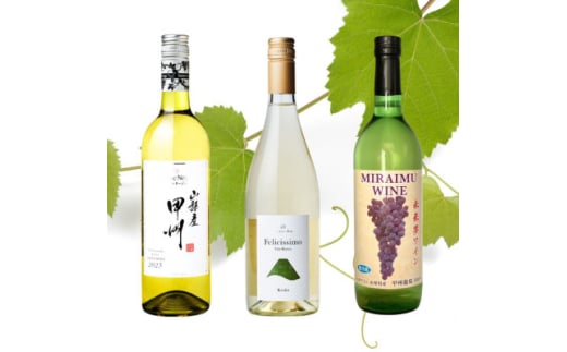 山梨市おすすめ白ワイン3本セット(2)【1613626】