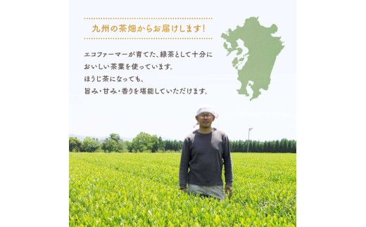 初摘み茶 100包 お茶 ティーバッグ 茶葉 緑茶 日本茶 飲料 茶葉 煎茶 新茶 一番茶 国産 若々しい香り みずみずしい 旨み 急須 手軽 本格的 こだわり 上質 天然素材 家庭用 くつろぎ ティ