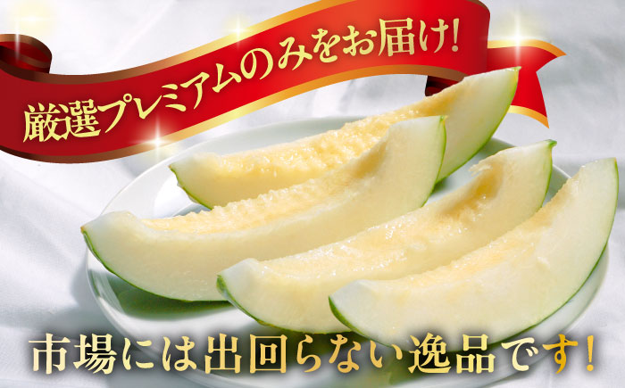 【2025年3月中旬~発送】【平成新山メロンPREMIUM（とみちゃん厳選）】パパイヤメロン 3個 / メロン 南島原市 / うえだメロン園 [SAD001]