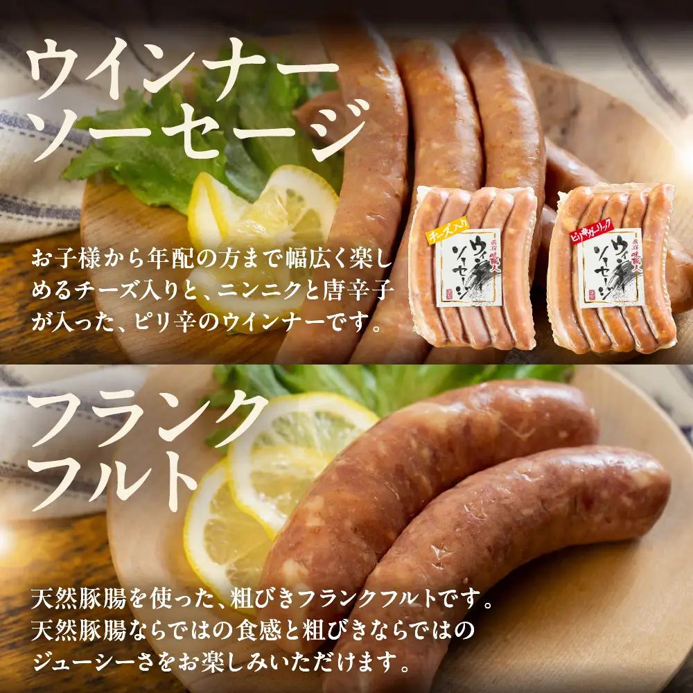 【飛騨 味職人】美味いもんバラエティセット 手作りウインナー（チーズ・ピリ辛ガーリック）フランク,スパイシーチキン,フライッシュケーゼ  【57-10】