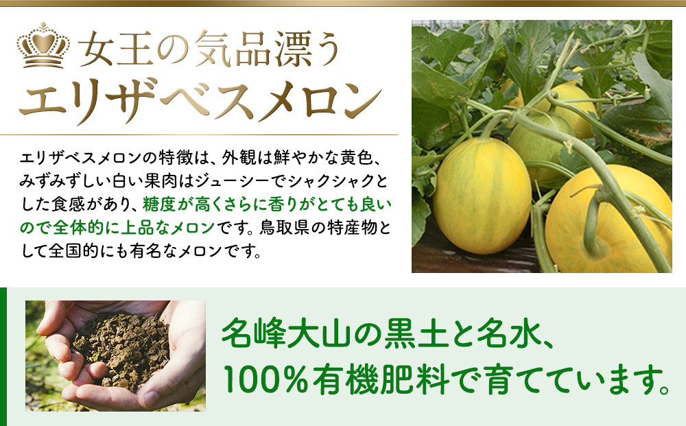数量限定 鳥取県産 エリザベスメロン 4玉（2.4kg）