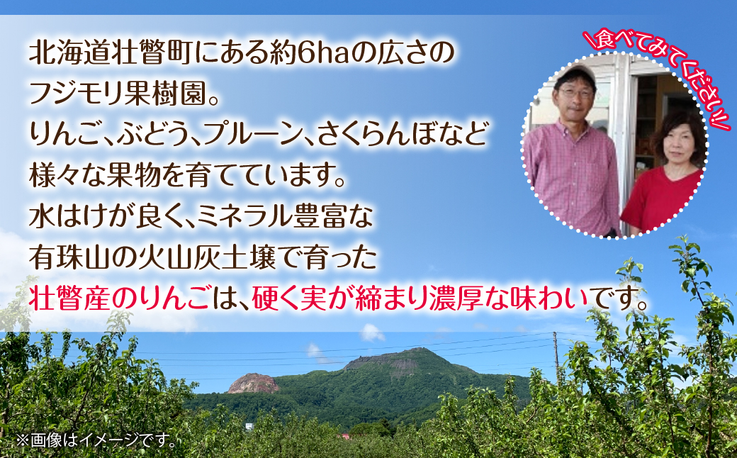 【先行予約】北海道壮瞥町産りんご「早生ふじ」約5kg(12～18玉)<2026年10月中旬よりお届け> SBTF009