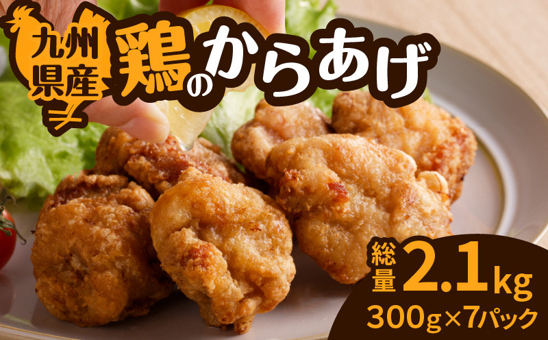 
                  九州県産鶏の唐揚げ　K277-002
                