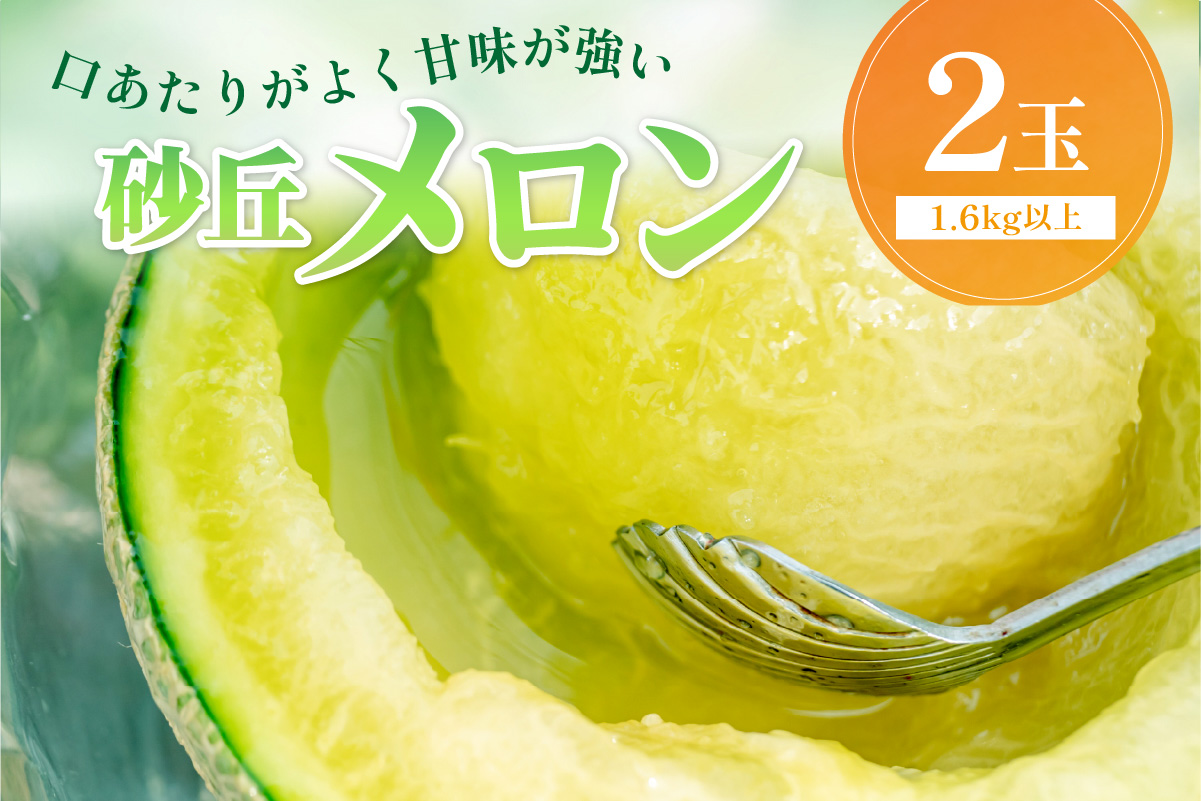 【先行予約／数量限定500】京丹後産 砂丘メロン 大玉2L以上 2玉（2025年7月下旬～発送）　HF00004