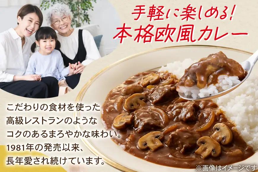 カレー レトルト ハウス カレーマルシェ 辛口 180g 10個