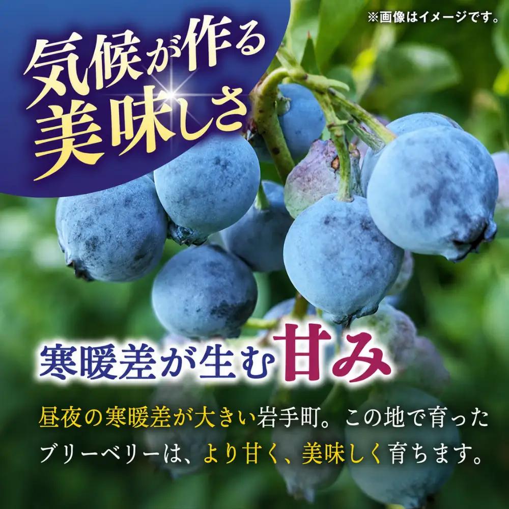 ブルーベリー 冷凍 1kg フルーツ ベリー 果物