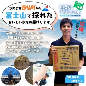 【6ヶ月定期便】ミネラルウォーター「甲斐のやさしい水 富士山麓」ラベルレス2L 6本 1ケース／ お水 軟水 飲料 飲料水 天然水ペットボトル 生活必需品 消耗品 備蓄 防災 災害対策 エコ 人気 ま