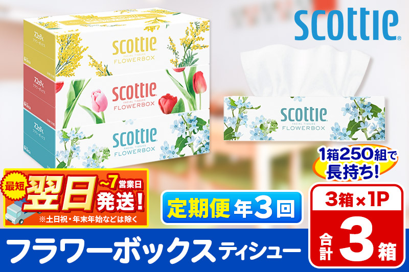 《4ヶ月ごとに3回お届け》定期便  ティッシュペーパー スコッティ ティシュー フラワーボックス 250組 3箱パック×1パック【レビューキャンペーン中】 秋田市オリジナル