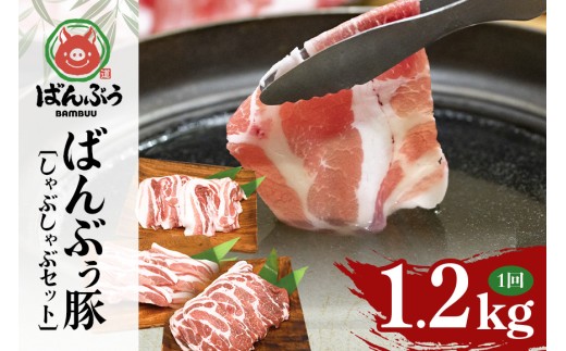 ブランド豚「ばんぶぅ」しゃぶしゃぶセット 合計1.2kg ばんぶぅ 豚肉 豚バラ肉 しゃぶしゃぶ しゃぶしゃぶセット 豚バラ ロース 肩ロース 焼き肉 しゃぶしゃぶ肉 焼肉用 ぶた肉 ブタ肉 国産 茨城県産 ギフト プレゼント 冷凍 高級部位 ブランド豚 42-J