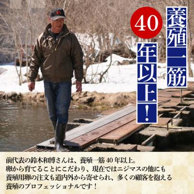 ふるさと納税 比布町 ぴっぷサーモン にじますスモーク 冷燻仕上げ 480g【にじます工房】 |  | 01