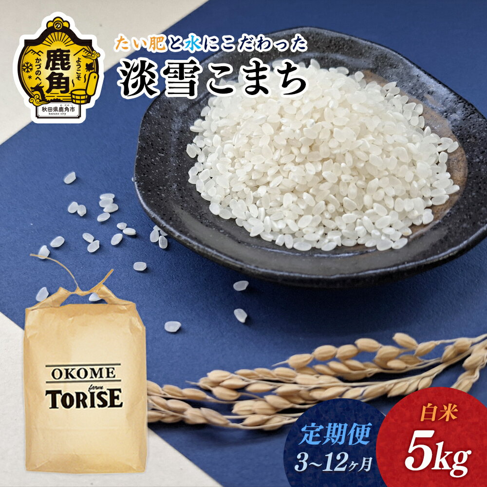 【ふるさと納税】 《 先行予約 》 令和8年産 淡雪こまち 白米 5kg 定期便 3ヶ月 6ヶ月 9ヶ月 12ヶ月 選べる定期便 定期 定期便 小分け 米 単一原料米 ブランド米 精米 お米 県産米 国産米 秋田県 あきた 鹿角市 鹿角 送料無料 【トライズ】