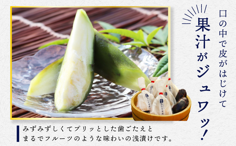 【先行予約】「特選最上級品」天然素材 水なす浅漬け 4個【新鮮 野菜 泉佐野産 茄子 やさい 高評価 数量限定 先行予約】 099H3085_イメージ2