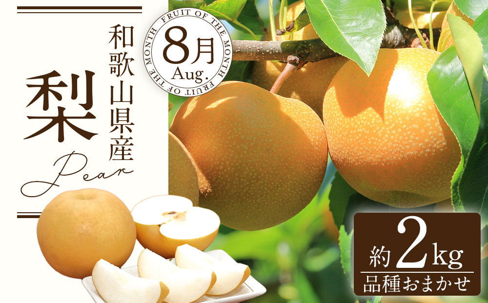定期便全3回 【7月・8月・9月発送】 和歌山の夏のフルーツをお届け（桃・梨・シャインマスカット） ［TM224］