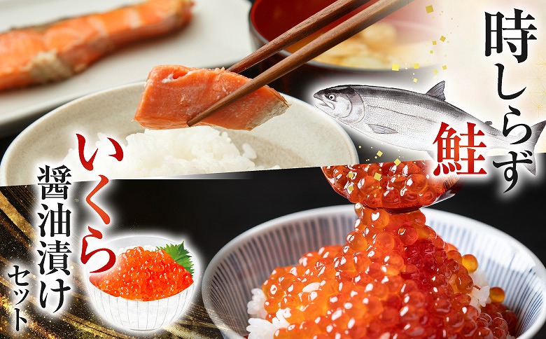 【北海道根室産】時しらず鮭600g×1P・いくら醤油漬け50g×2P B-42106