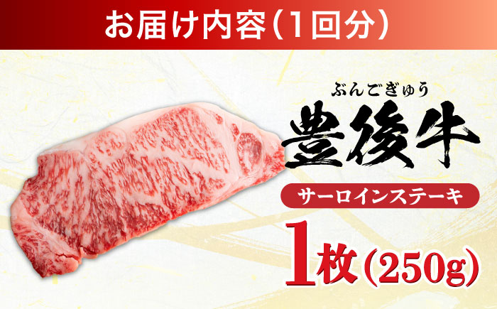 【全12回定期便】おおいた豊後牛 サーロインステーキ 250g (250g×1枚) 日田市 / 株式会社MEAT PLUS　肉 牛肉 和牛 [AREI055]