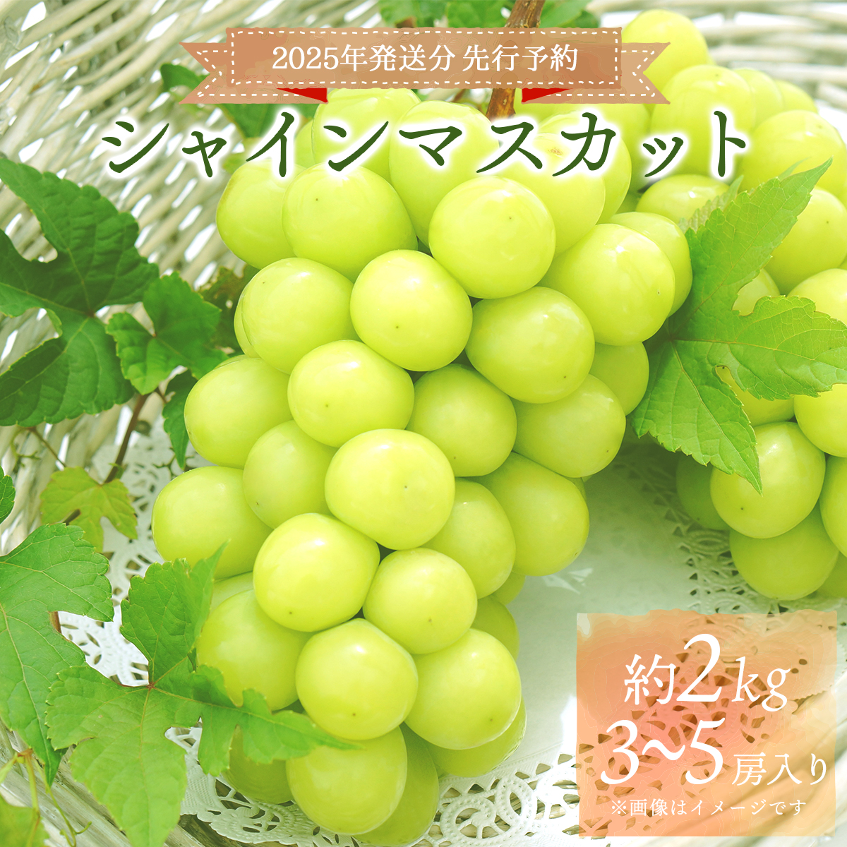 ＜2025年発送分 先行予約＞梅村ファーム 朝摘み直送 シャインマスカット（3房～5房 約2kg）【030-a011】