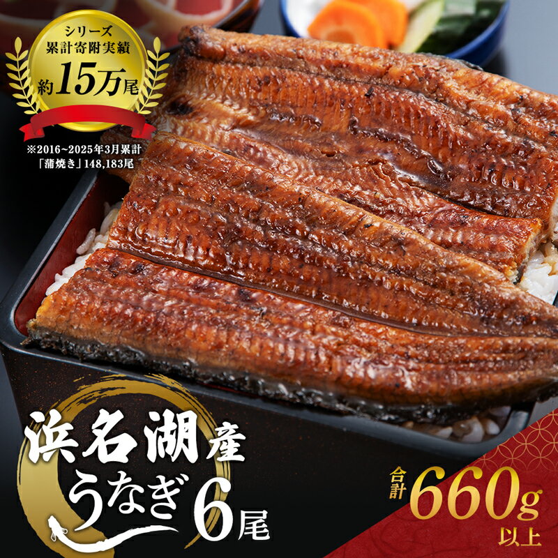 【ふるさと納税】うなぎ 冷凍 国産 6尾 計660g 小分け 詰め合わせ 蒲焼き 浜名湖産 鰻 蒲焼 ウナギ うなぎのたれ 浜松 静岡県浜松市