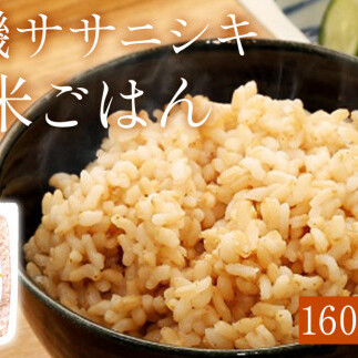 令和5年産 有機ササニシキ玄米ごはん 160g × 40個