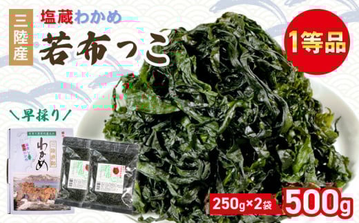 早採り 塩蔵わかめ 若布っこ 250g×2袋 海鮮 海藻 わかめ ワカメ 魚貝類 魚介類 みそ汁 スープ 酢の物 小分け 贈答品 贈答用 テレビ TV 放送 ニュース 番組 大船渡 大船渡市 三陸 岩手県