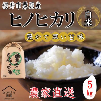 ふるさと納税 桜井市 【白米】桜井市粟原産ヒノヒカリ  5kg