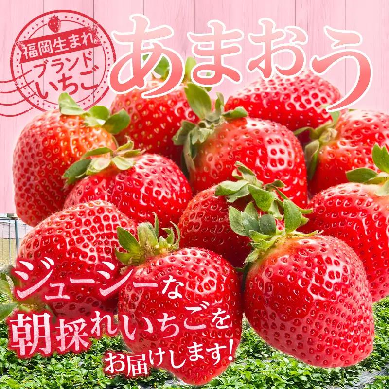 福岡県産【特別栽培】サイズおまかせ（DX～G等級）完熟あまおう　270g×4パック_福岡県産 特別栽培 完熟 あまおう 270g × 4パック サイズおまかせ DX～G等級 国産 苺 濃厚 ジューシー