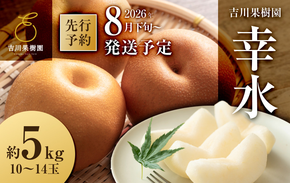 【先行予約】幸水 約５kg（10～14玉）8月中旬～順次発送【吉川果樹園】