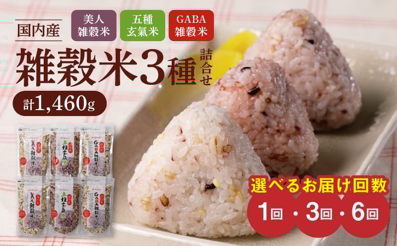 
                  国内産 雑穀米3種詰め合わせ （GABA雑穀米・美人雑穀米・五種玄氣雑穀米　各2個）_米 雑穀米 おいしい 3種 6パック 詰め合わせ セット 1460g 選べる 1回/隔月定期便3回/6回 国内産 体にやさしい 混ぜて炊くだけ 主食 おにぎり 冷めても美味しい お弁当 ブレンド 日本雑穀アワード 2年連続 金賞 GABA雑穀米 美人雑穀米 五種玄氣米 送料無料
                