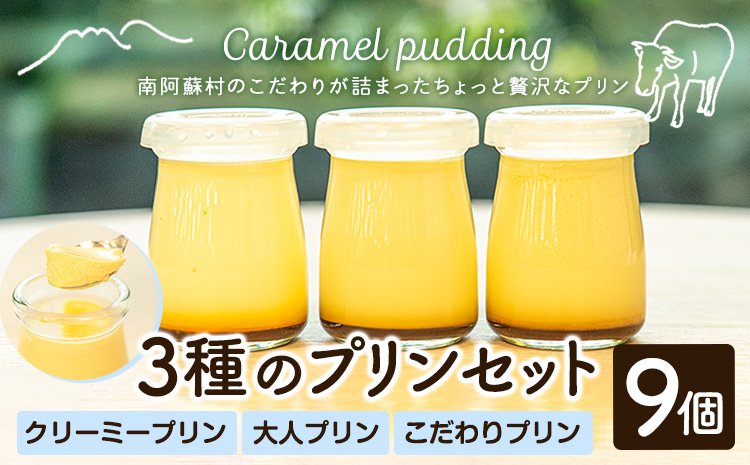 プリン 南阿蘇のプリン専門店 キャラメルプディング 人気プリン3種×3個セット 計9個お届け《60日以内に出荷予定(土日祝を除く)》プリン 南阿蘇こだわりプリン 大人プリン クリーミープリン 手作り 阿蘇小国ジャージー牛乳 お菓子 スイーツ お土産---sms_ckyapudding_60d_r7_15000_9p---