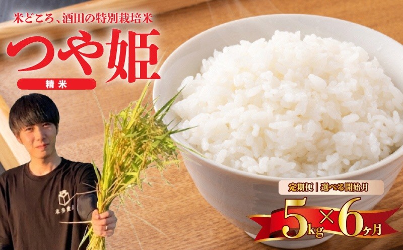 
                  【6回定期便】令和8年産 ［精米］特別栽培米 つや姫　5kg×6回(計30kg) 農家直送 HO SG0194
                