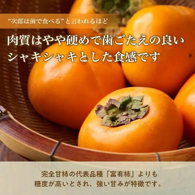 三重県産 たねなし 次郎柿 5kg（M以上）｜果物 柿｜きんちゃん農園