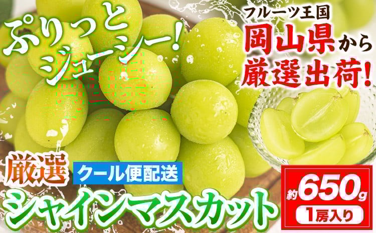 
            【2026年発送先行予約】シャインマスカット 岡山 約650g 1房  《2026年9月上旬-11月中旬頃出荷》厳選 旬 ぶどう ブドウ 葡萄 マスカット 果物 フルーツ ギフト 岡山県 笠岡市 訳あり クール便 爽やか 贅沢
          