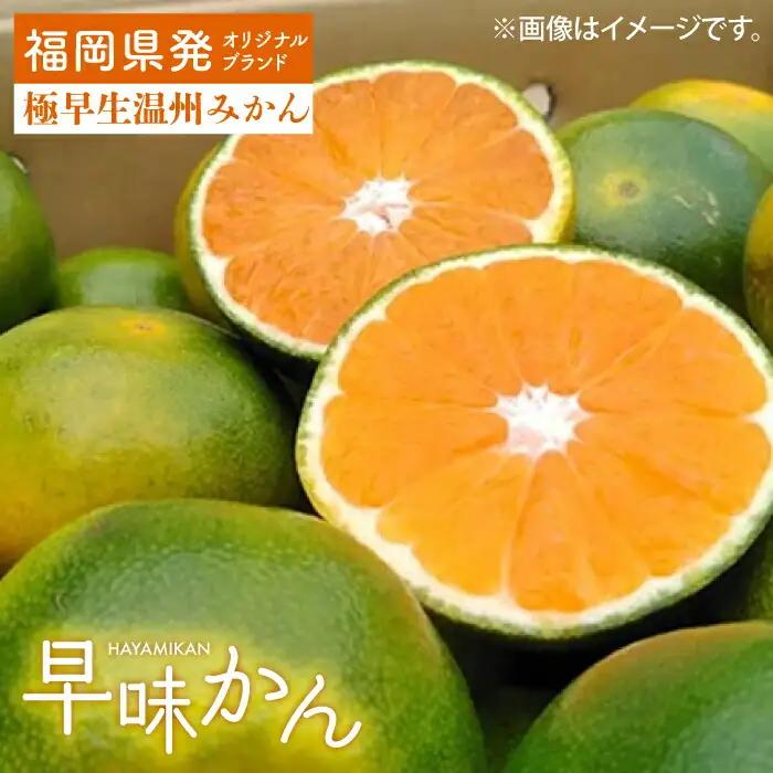 【先行予約】福岡 早みかん 約2kg BGAG013 果物 温州みかん