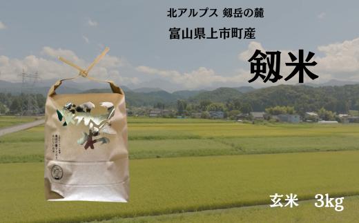 【令和7年産】上市町産コシヒカリ「剱米」（玄米）3kg　 [ソムリエH 富山県 上市町 32280235-r6-02] 　お米 コメ ご飯 ごはん 玄米ご飯 玄米ごはん こしひかり