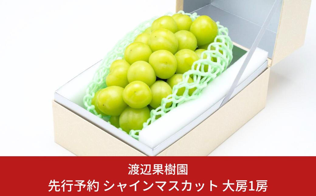 
            先行予約 大房シャインマスカット1房 (約570g) 令和8年度 贈答用 シャインマスカット 新潟県 三条市産 ぶどう [渡辺果樹園] 【011S091】
          