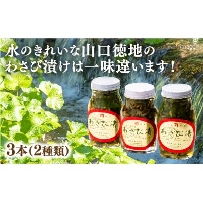 ふるさと納税 山口市 山口徳地のわさび漬け2種3本セット D184