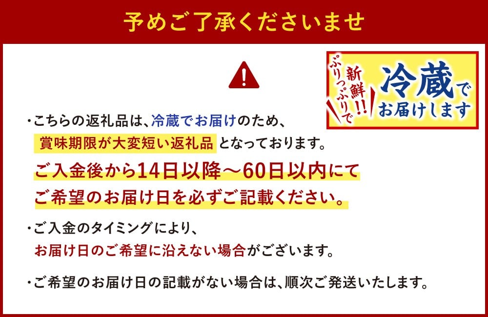 【指定日必須】 本場関門とらふぐ刺身・ふぐ鍋セット(2～3人前)ふく一