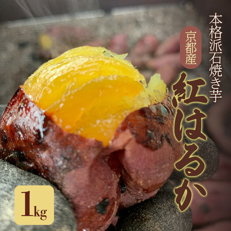 【ふるさと納税】本格派石焼き芋[ 焼き芋 紅はるか サツマイモ さつまいも 耕作期間中 農薬不使用 ]